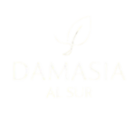 LOGO-FINAL-CARRUSEL-05.png